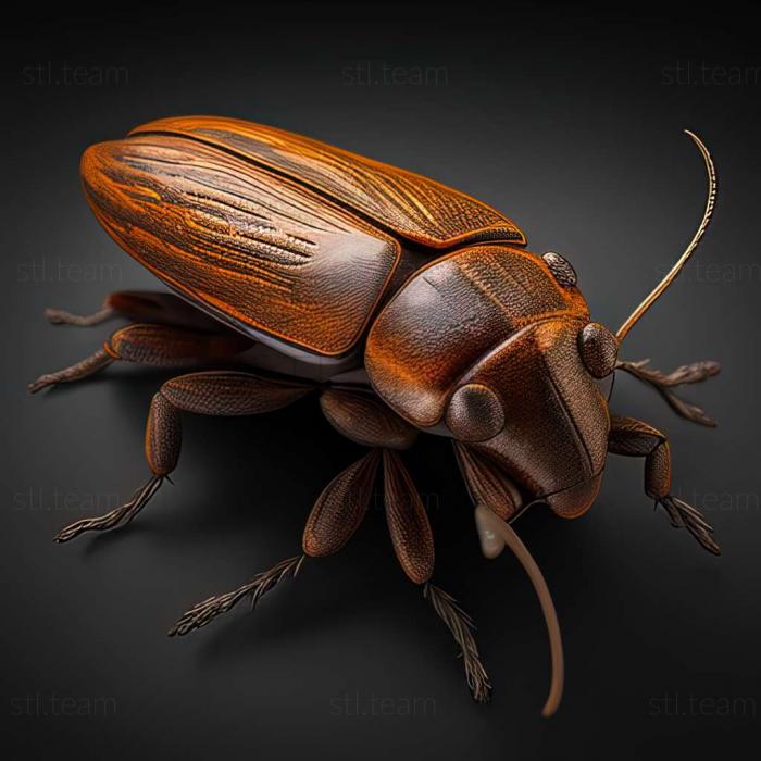 3D model Cantharis sucinonigra (STL)